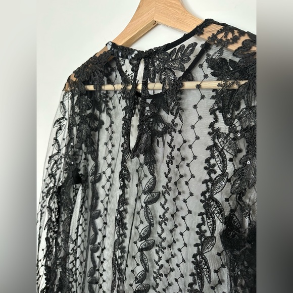 🚨SOLD🚨Zara Embroidered Sheer Dress - Picture 6 of 7